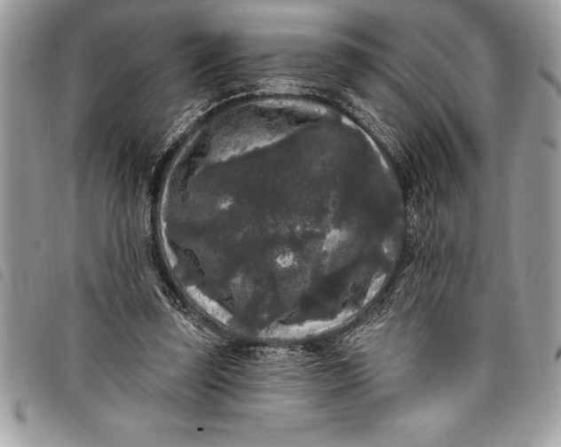 X0000097890347200803281251