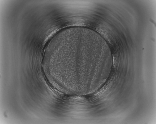 X0000097890348200803281251