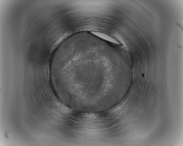 X0000097890349200803281251