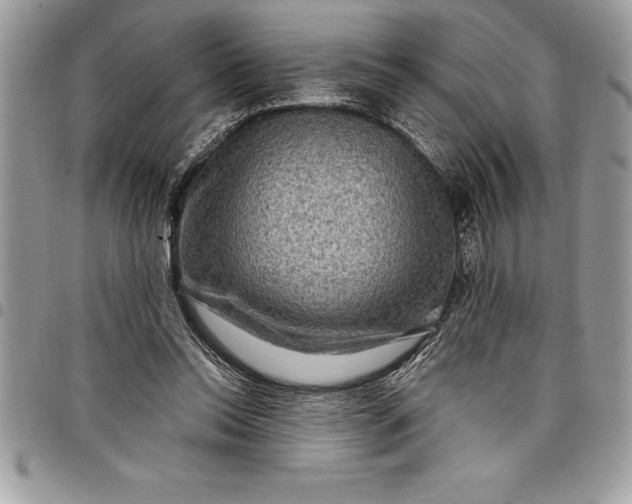 X0000097890350200803281251