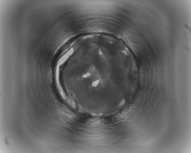 X0000097890351200803281251