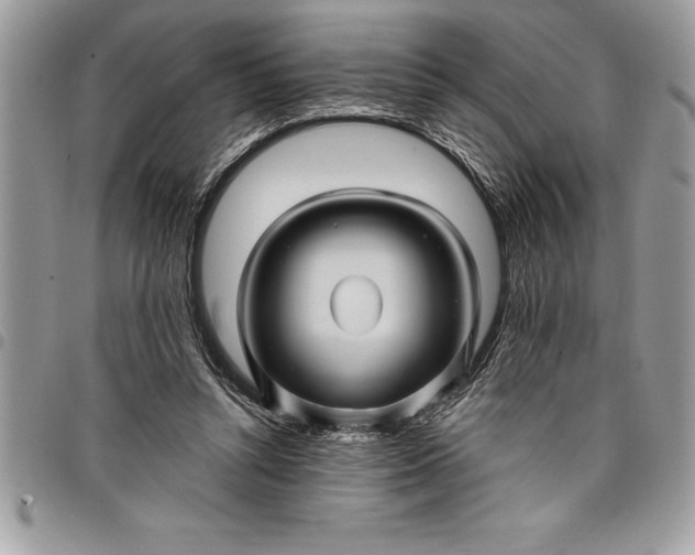 X0000097890352200803281251