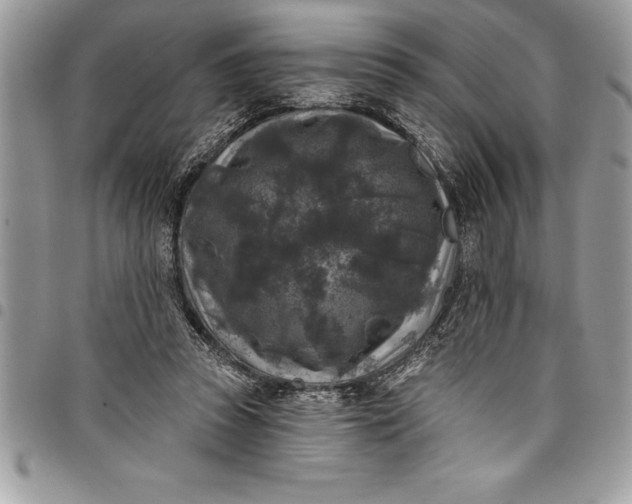 X0000097890353200803281251