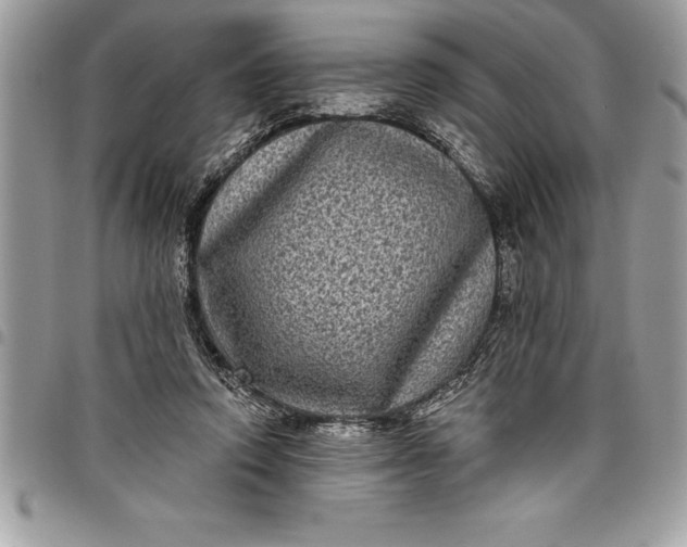 X0000097890354200803281251