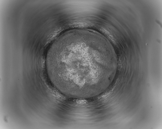 X0000097890355200803281251