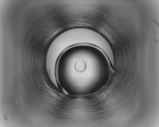 X0000097890356200803281251