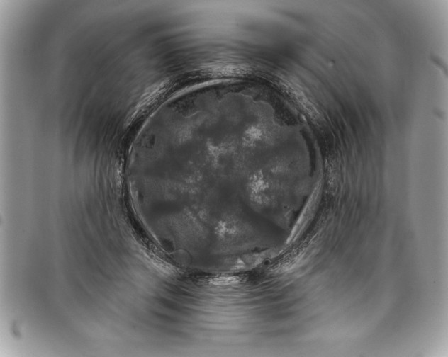 X0000097890357200803281251