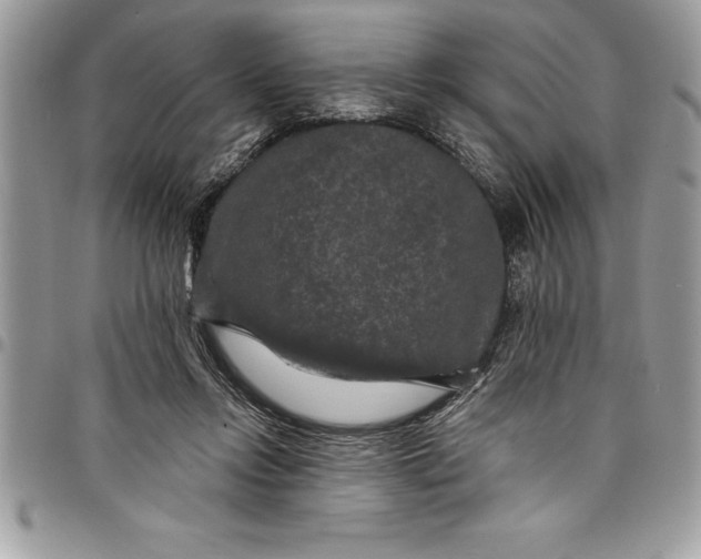 X0000097890358200803281251