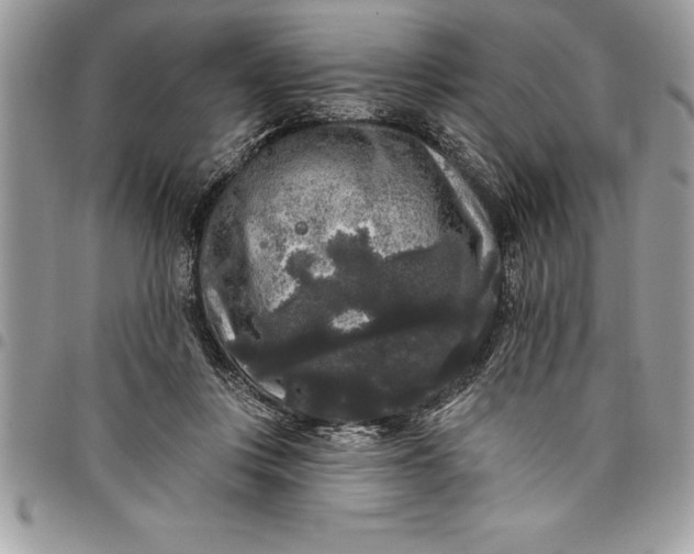 X0000097890359200803281251