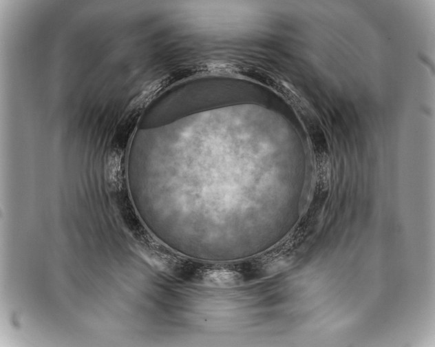 X0000097890360200803281251