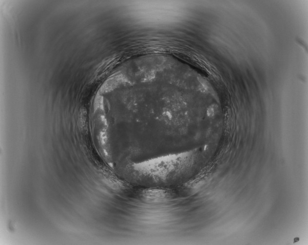 X0000097890361200803281251