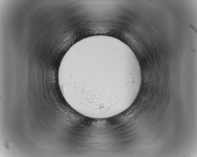 X0000097890362200803281251