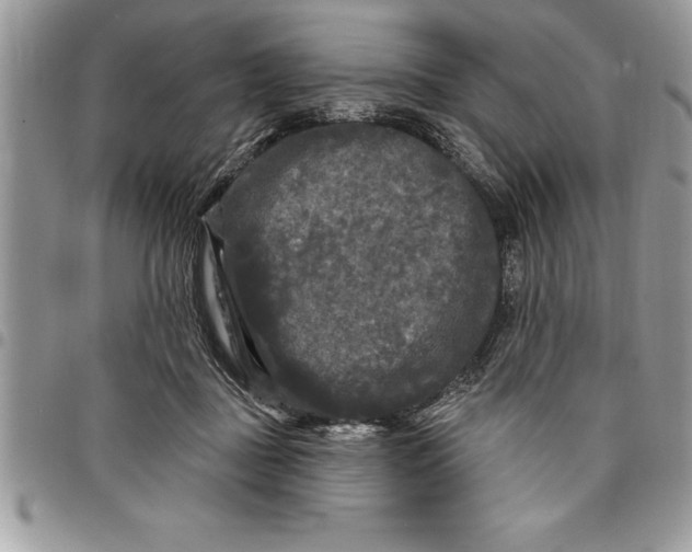 X0000097890363200803281251