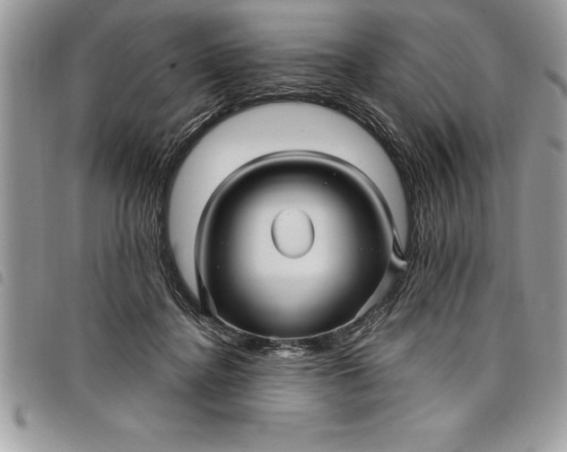 X0000097890364200803281251