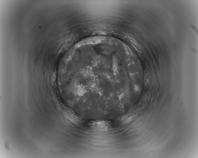 X0000097890365200803281251