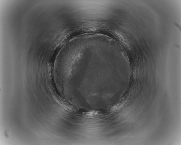 X0000097890366200803281251