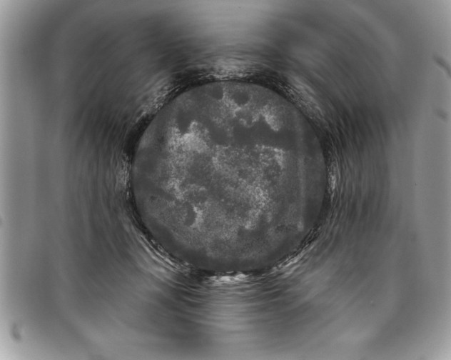 X0000097890367200803281251