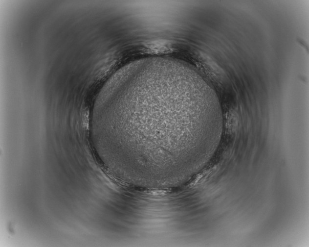 X0000097890368200803281251