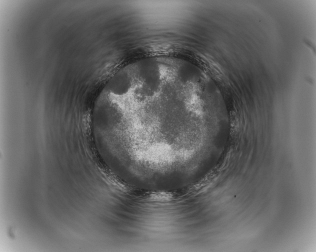 X0000097890369200803281251