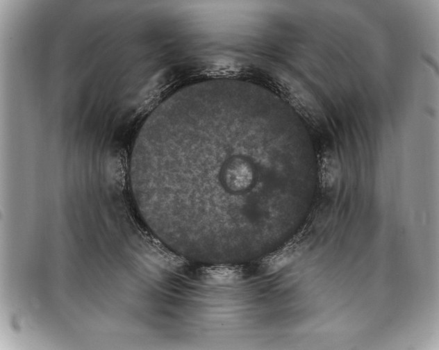 X0000097890370200803281251