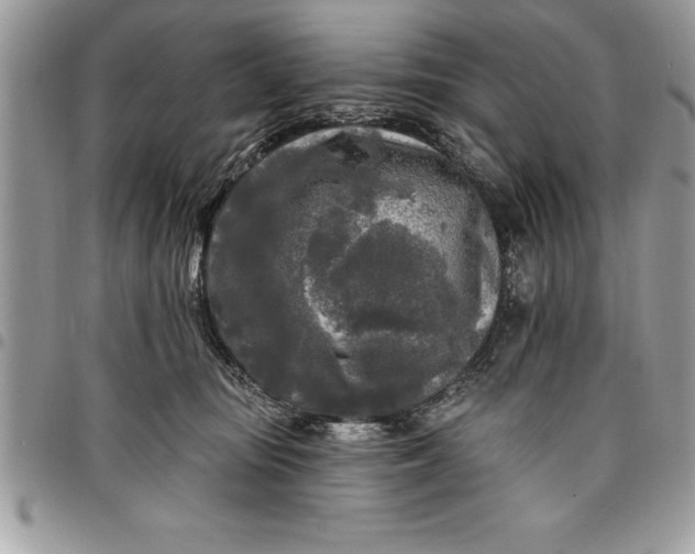 X0000097890371200803281251