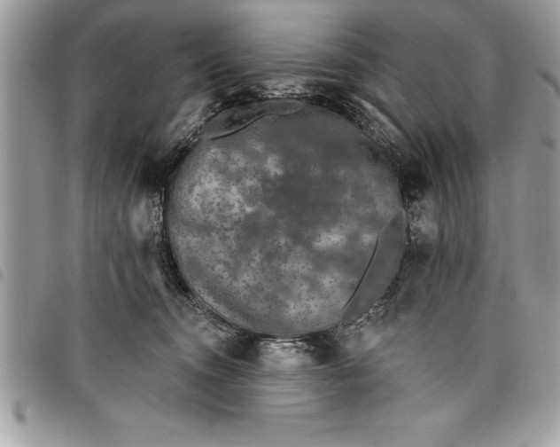 X0000097890372200803281251