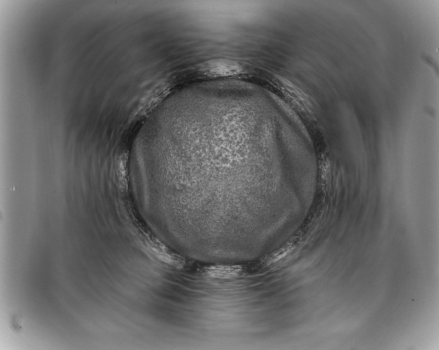 X0000097890373200803281251