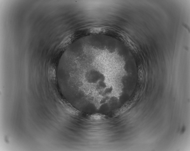 X0000097890375200803281251