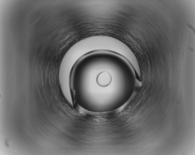 X0000097890376200803281251