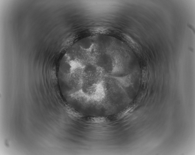 X0000097890377200803281251