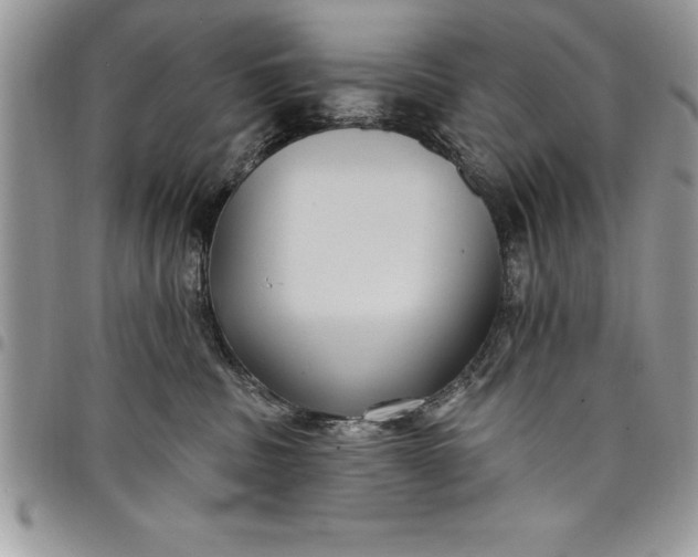 X0000097890379200803281251