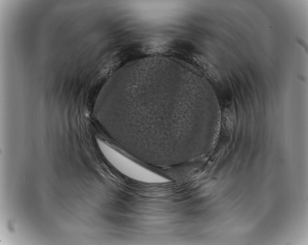 X0000097890380200803281251