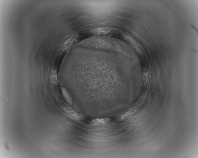 X0000097890381200803281251