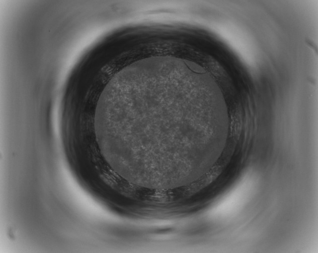 X0000097890383200803281251