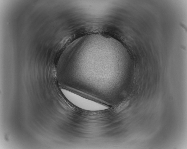 X0000097890384200803281251