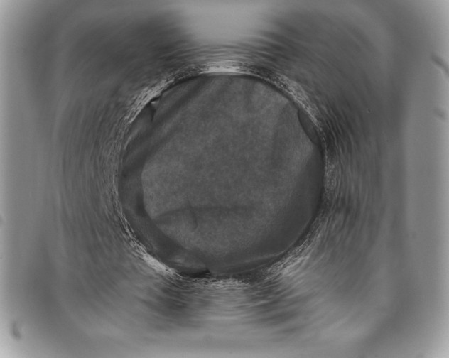 X0000097890385200803281250