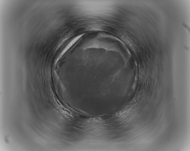 X0000097890386200803281250