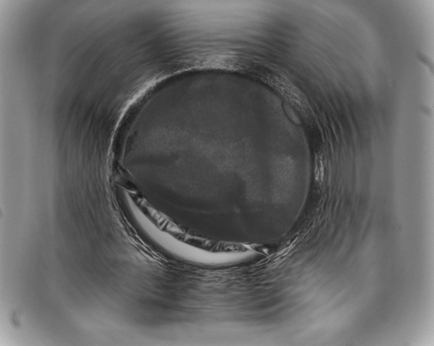 X0000097890388200803281250