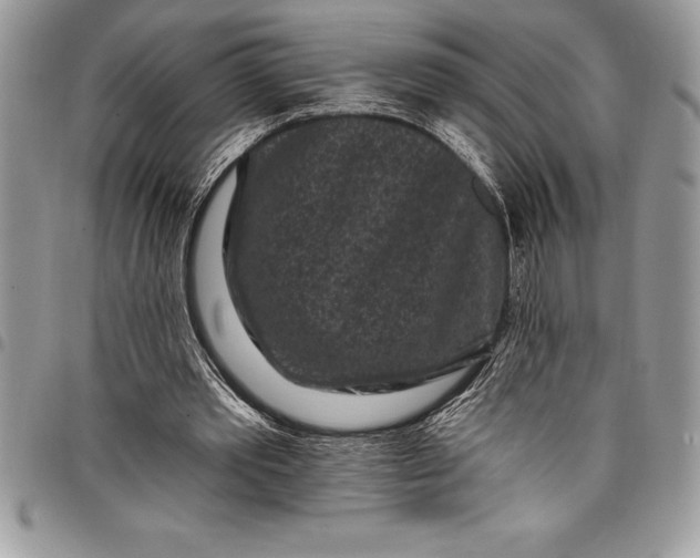 X0000097890389200803281250