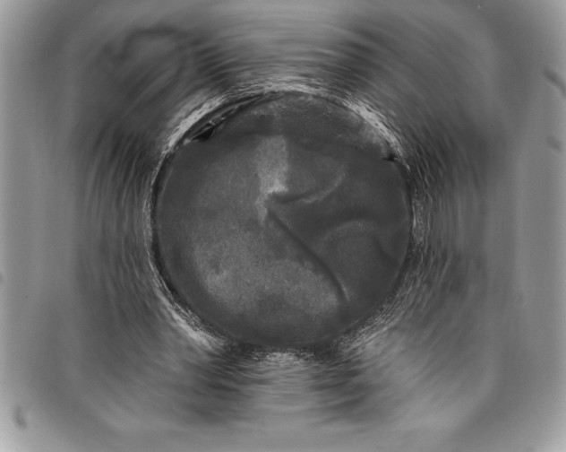 X0000097890390200803281250