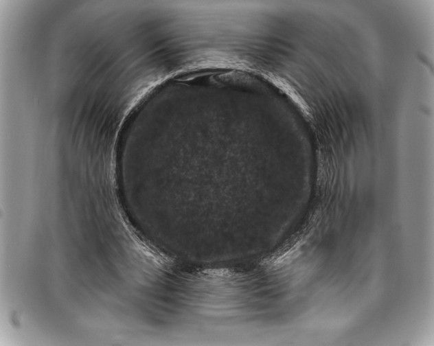 X0000097890391200803281250