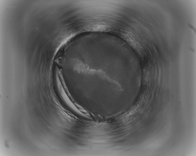 X0000097890392200803281250