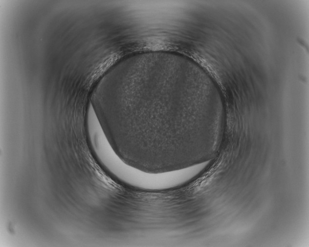 X0000097890393200803281250