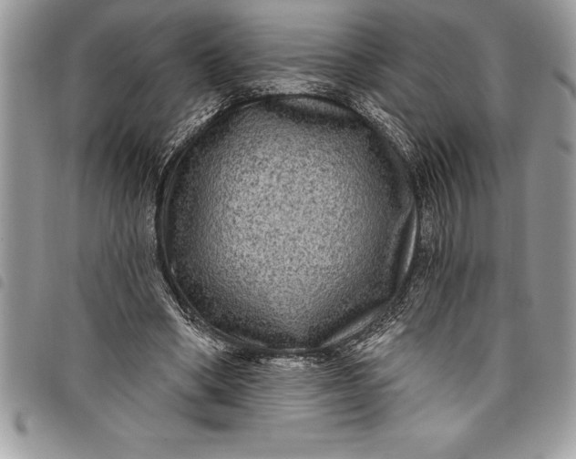 X0000097890394200803281250