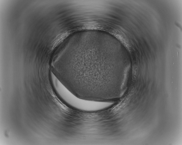 X0000097890397200803281250