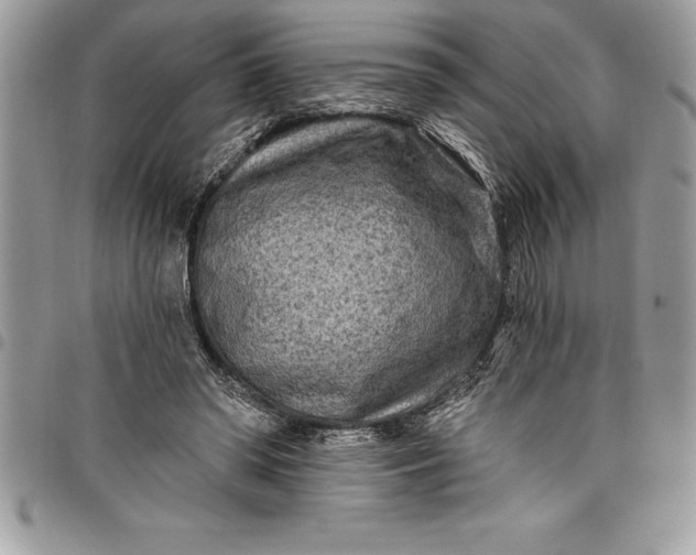 X0000097890398200803281250