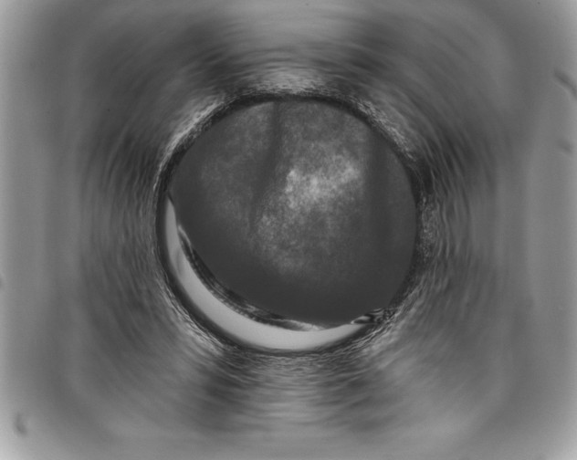 X0000097890399200803281250