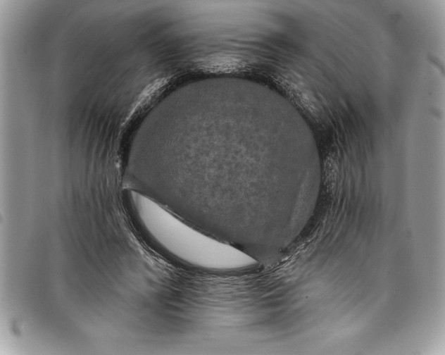 X0000097890400200803281250