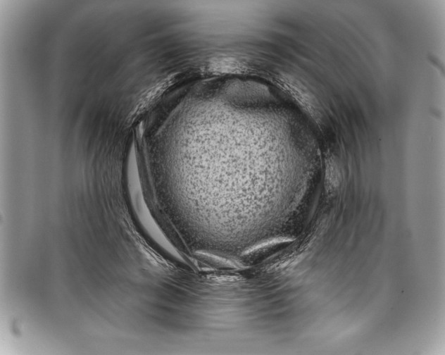 X0000097890401200803281250