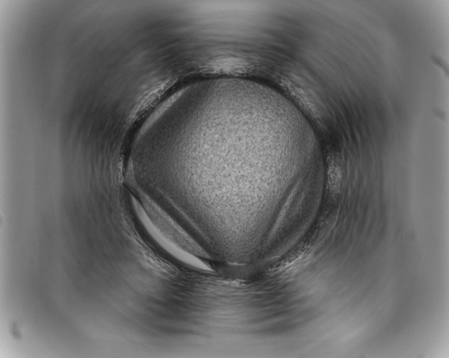 X0000097890403200803281250